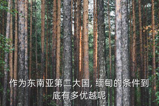 緬甸紡織市場