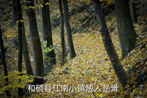 和碩縣江南小鎮(zhèn)法人是誰