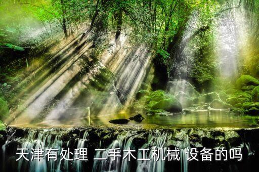 天津有處理 二手木工機械 設(shè)備的嗎