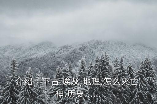埃及開羅紡織展,2023埃及紡織展