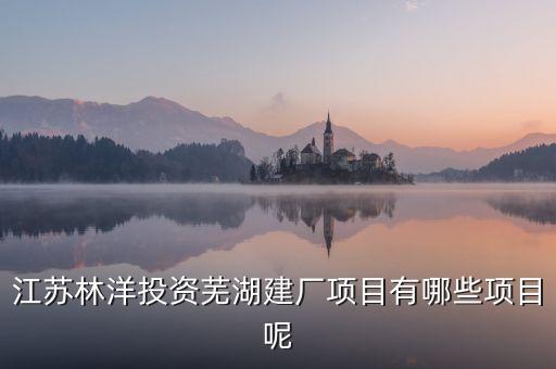 江蘇林洋投資蕪湖建廠項(xiàng)目有哪些項(xiàng)目呢