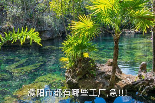 濮陽市都有哪些工廠,急!!!