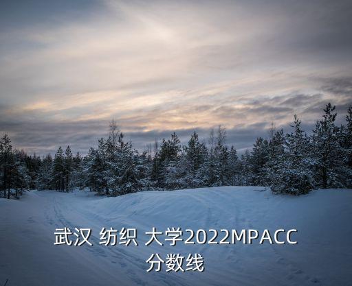 武漢 紡織 大學(xué)2022MPACC分?jǐn)?shù)線