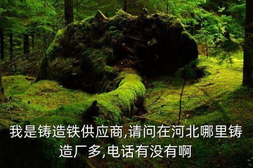 我是鑄造鐵供應(yīng)商,請問在河北哪里鑄造廠多,電話有沒有啊