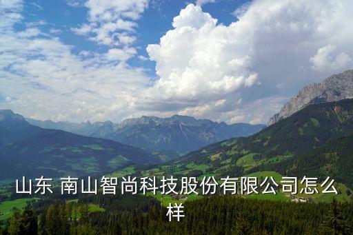 山東 南山智尚科技股份有限公司怎么樣