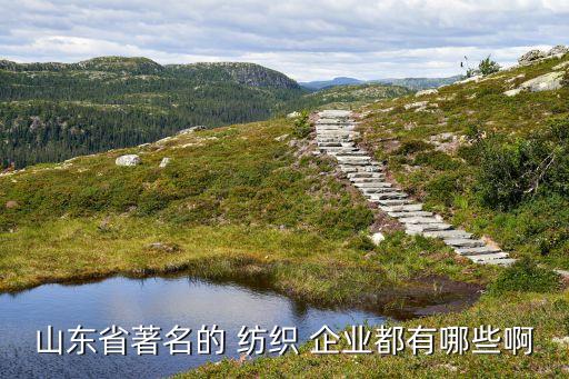 紡織企業(yè)集團