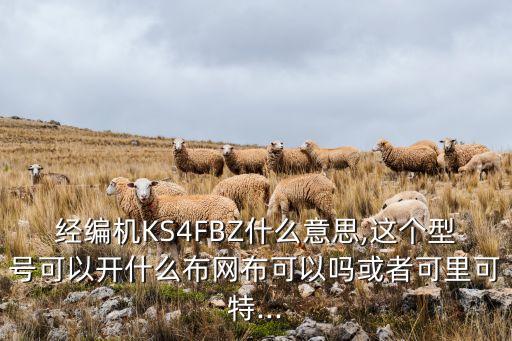 經(jīng)編機KS4FBZ什么意思,這個型號可以開什么布網(wǎng)布可以嗎或者可里可特...
