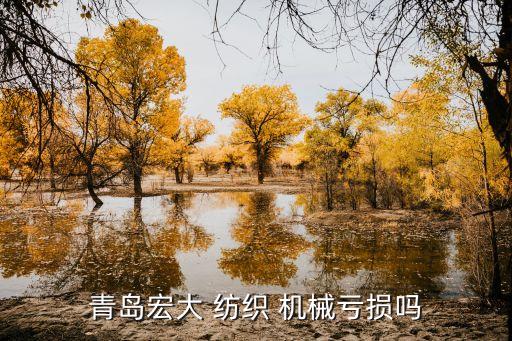 青島宏大 紡織 機械虧損嗎