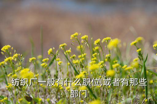  紡織廠一般有什么職位,或者有那些部門(mén)