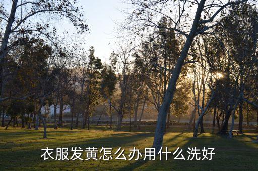 衣服發(fā)黃怎么辦用什么洗好