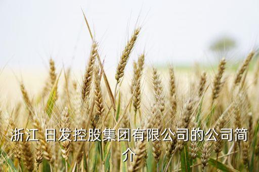 浙江 日發(fā)控股集團有限公司的公司簡介