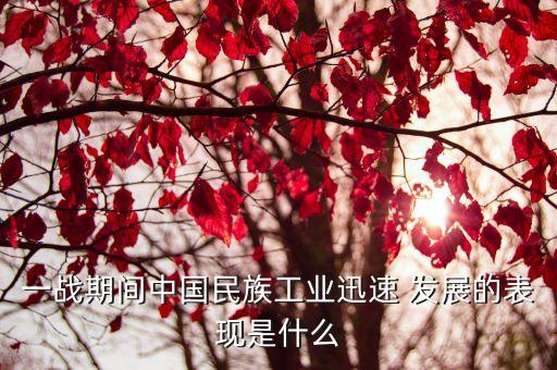 一戰(zhàn)期間中國民族工業(yè)迅速 發(fā)展的表現(xiàn)是什么