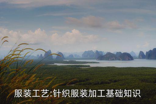 服裝工藝:針織服裝加工基礎(chǔ)知識