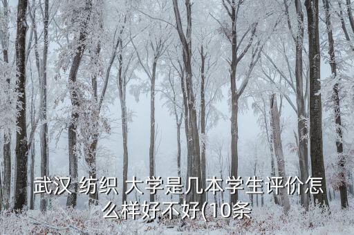 武漢紡織大學(xué) 湖北