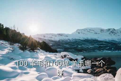 100 羊毛和100綿 羊毛哪一個(gè)好