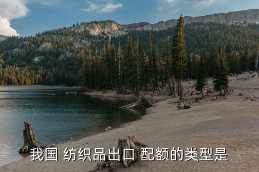 我國 紡織品出口 配額的類型是