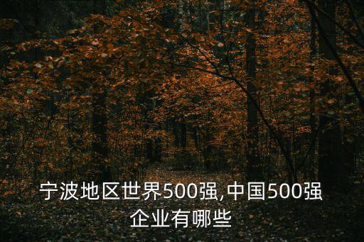 寧波地區(qū)世界500強,中國500強企業(yè)有哪些