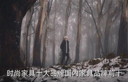  時尚家具十大品牌國內(nèi)家具品牌前十