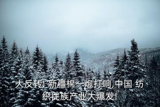 新疆紡織行辦,新疆十大紡織集團