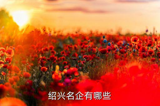 紹興名企有哪些