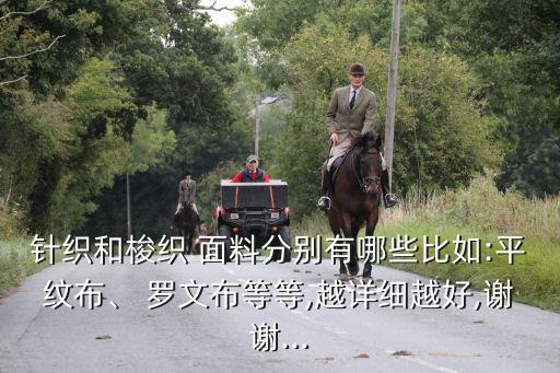 羅文面料的衣服,法國(guó)羅文是什么面料