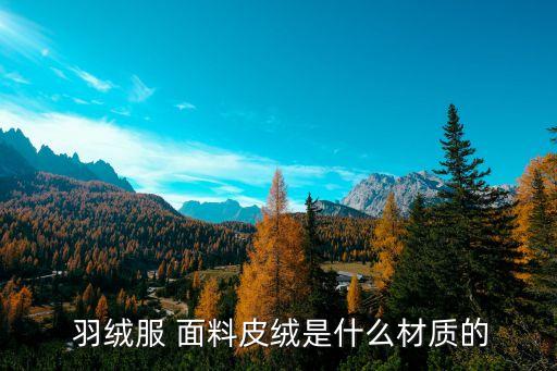  羽絨服 面料皮絨是什么材質的