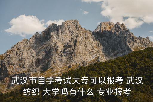  武漢市自學(xué)考試大?？梢詧罂?武漢 紡織 大學(xué)嗎有什么 專業(yè)報考