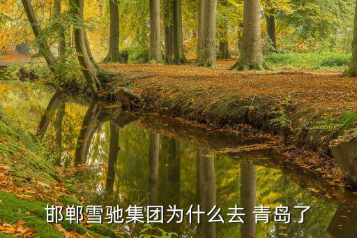 邯鄲雪馳集團(tuán)為什么去 青島了