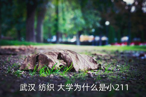 武漢紡織大學(xué)難解釋
