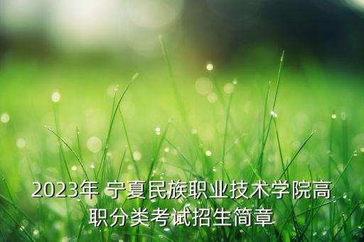 2023年 寧夏民族職業(yè)技術(shù)學(xué)院高職分類考試招生簡(jiǎn)章