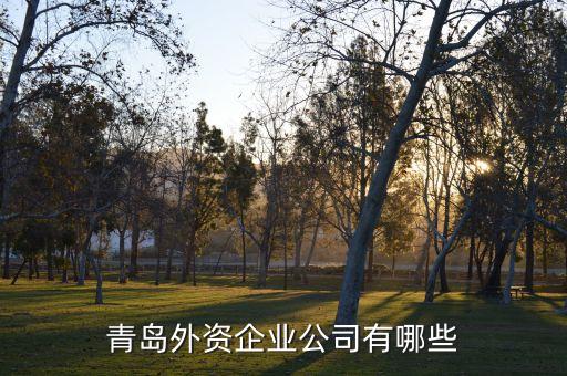 膠南錦橋紡織有限公司,杜倍題橋紡織(江蘇)有限公司