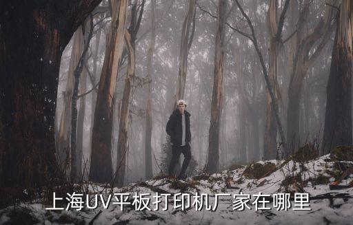上海和鷹機電科技有限公司,湘景(上海)機電科技有限公司