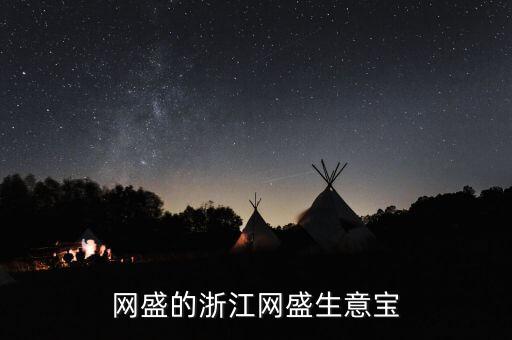 網(wǎng)盛的浙江網(wǎng)盛生意寶