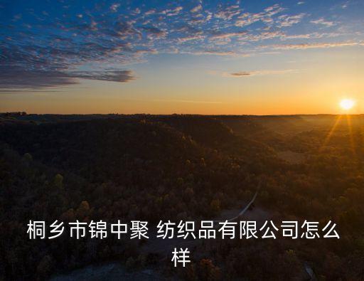  桐鄉(xiāng)市錦中聚 紡織品有限公司怎么樣