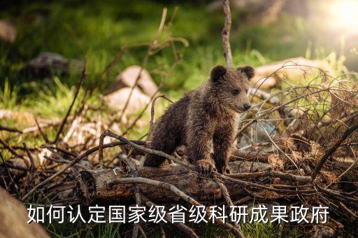 如何認(rèn)定國(guó)家級(jí)省級(jí)科研成果政府