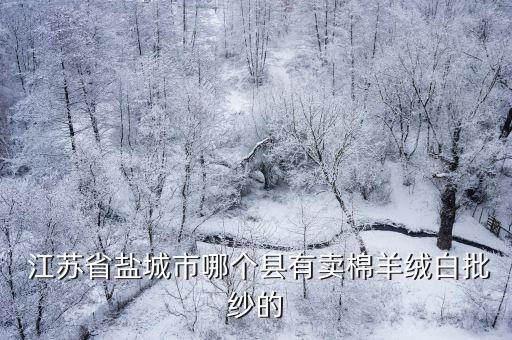  江蘇省鹽城市哪個(gè)縣有賣(mài)棉羊絨白批紗的