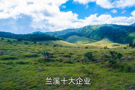 蘭溪十大企業(yè)