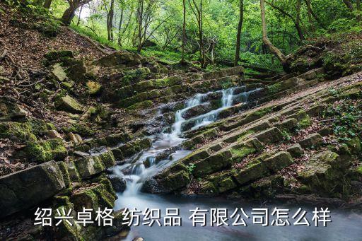  紹興卓格 紡織品 有限公司怎么樣