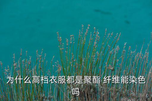 為什么高檔衣服都是聚酯 纖維能染色嗎
