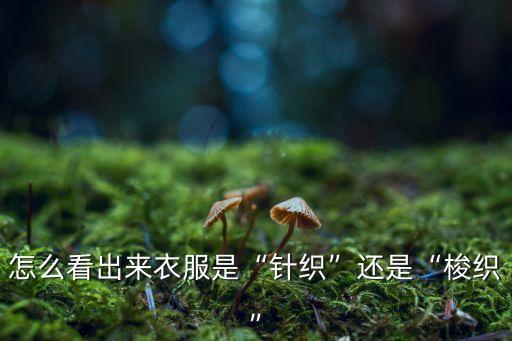 怎么看出來衣服是“針織”還是“梭織”