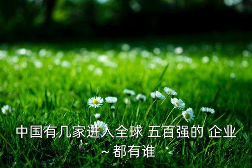 紡織企業(yè)世界五百強,2022世界五百強企業(yè)排行榜