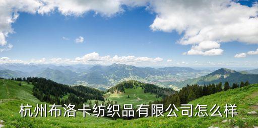 杭州布洛卡紡織品有限公司怎么樣