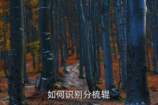 如何識別分梳輥