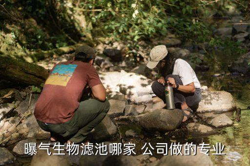 曝氣生物濾池哪家 公司做的專業(yè)