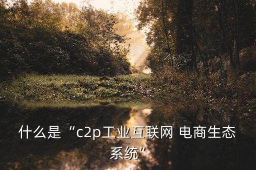 什么是“c2p工業(yè)互聯(lián)網(wǎng) 電商生態(tài)系統(tǒng)”