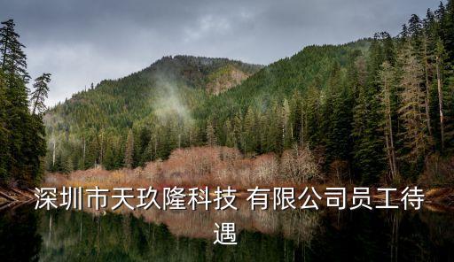  深圳市天玖隆科技 有限公司員工待遇