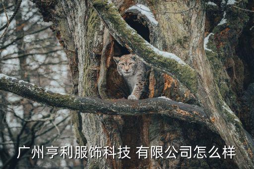南通市金富紡織有限公司