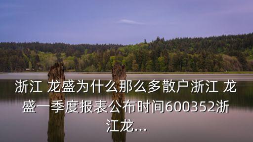 浙江 龍盛為什么那么多散戶浙江 龍盛一季度報表公布時間600352浙江龍...