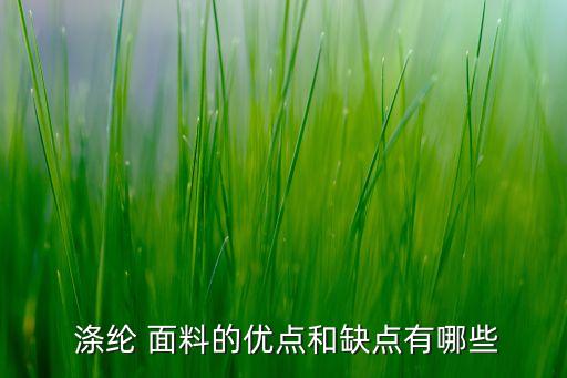  滌綸 面料的優(yōu)點(diǎn)和缺點(diǎn)有哪些