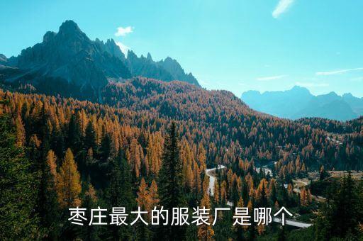 棗莊最大的服裝廠是哪個